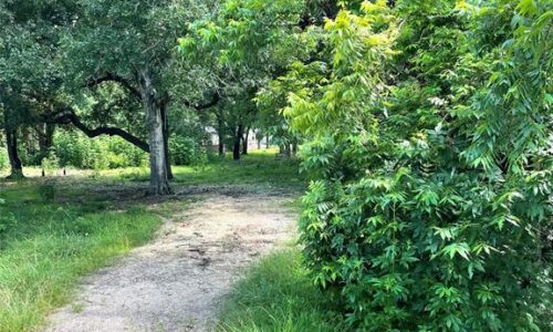 image of lot for sale