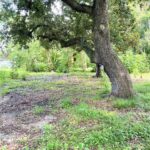 land for sale in Santa Fe Tx