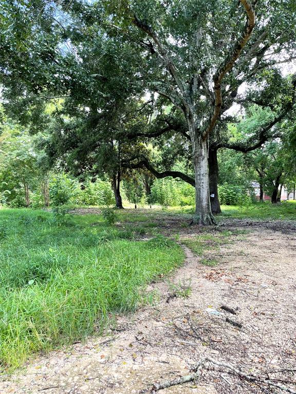 image of lot for sale